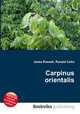 Carpinus orientalis, Jesse Russell,Ronald Cohn 