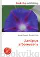 Acnistus arborescens, Jesse Russell,Ronald Cohn 