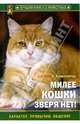 Милее кошки зверя нет!, Криволапчук Наталия 