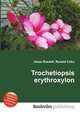 Trochetiopsis erythroxylon, Jesse Russell,Ronald Cohn 