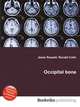 Occipital bone, Jesse Russell,Ronald Cohn 