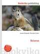 Sciurus, Jesse Russell,Ronald Cohn 