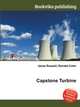 Capstone Turbine, Jesse Russell,Ronald Cohn 