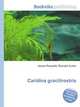 Caridina gracilirostris, Jesse Russell,Ronald Cohn 