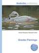 Greater Flamingo, Jesse Russell,Ronald Cohn 