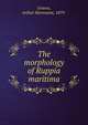 The morphology of Ruppia maritima, Graves, Arthur Harmount, 1879- 