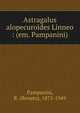 Astragalus alopecuroides Linneo : (em. Pampanini), Pampanini, R. (Renato), 1875-1949 