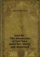 Java ho: The adventures of four boys amid fire, storm and shipwreck, Johan W. Fabricius 