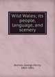 Wild Wales; its people, language, and scenery, George Henry Borrow 