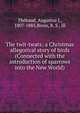 The twit-twats; a Christmas allegorical story of birds (Connected with the introduction of sparrows into the New World), Th?baud, Augustus J., 1807-1885,Bross, R. S., ill 