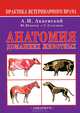 Анатомия домашних животных. - 5-е изд., перераб. и доп, Акаевский Анатолий Иванович, Юдичев Юрий Федорович, Селезнев Сергей Борисович 