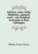 Julchen, oder, Liebe M?dchen, spiegelt euch : ein Original-Lustspiel in f?nf Aufz?gen, Huber, Franz Xaver 