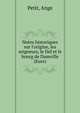 Notes historiques sur l'origine, les seigneurs, le fief et le bourg de Damville (Eure), Petit, Ange 