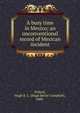 A busy time in Mexico; an unconventional record of Mexican incident, Pollard, Hugh B. C. (Hugh Bertie Campbell), 1888- 