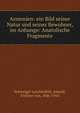 Armenien: ein Bild seiner Natur und seiner Bewohner, im Anhange: Anatolische Fragmente, Schweiger-Lerchenfeld, Amand, Freiherr von, 1846-1910 