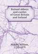 Ruined abbeys and castles of Great Britain and Ireland, Howitt William 