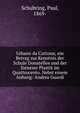 Urbano da Cortona; ein Betrag zur Kenntnis der Schule Donatellos und der Sieneser Plastik im Quattrocento. Nebst einem Anhang: Andrea Guardi, Schubring, Paul, 1869- 