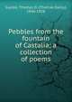 Pebbles from the fountain of Castalia; a collection of poems, Supl?e, Thomas D. (Thomas Danly), 1846-1928 