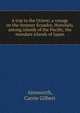 A trip to the Orient; a voyage on the steamer Ecuador, Honolulu, among islands of the Pacific, the mandate islands of Japan, Ainsworth, Carrie Gilbert 