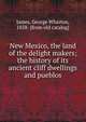 New Mexico, the land of the delight makers; the history of its ancient cliff dwellings and pueblos, James, George Wharton, 1858- [from old catalog] 