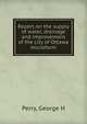 Report on the supply of water, drainage and improvement of the city of Ottawa microform, George H. Perry 