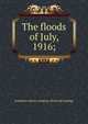 The floods of July, 1916;, Southern railway company. [from old catalog] 