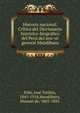 Historia nacional. Cri?tica del Diccionario histo?rico-biogra?fico del Peru? del sen?or general Mendiburu, Polo, Jose? Toribio, 1841-1918,Mendiburu, Manuel de, 1805-1885 
