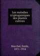 Les maladies cryptogamiques des plantes cultives, Marchal, Emile, 1871-1954 