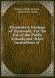 Elementary Geology of Tennessee: For the Use of the Public Schools and Other Institutions of ., William Gibbs McAdoo , Henry Clay White 