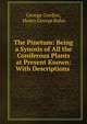 The Pinetum: Being a Synosis of All the Coniferous Plants at Present Known: With Descriptions ., George Gordon, Henry George Bohn 