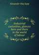 Industrial curiosities, glances here and there in the world of labour, Alexander Hay Japp 