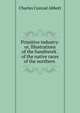 Primitive industry: or, Illustrations of the handiwork . of the native races of the northern ., Charles Conrad Abbott 