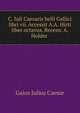 C. Iuli Caesaris belli Gallici libri vii. Accessit A.A. Hirti liber octavus. Recens. A. Holder ., Caesar Gaius Julius 