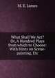 What Shall We Act? Or, A Hundred Plays from which to Choose: With Hints on Scene-painting, Etc., M. E. James 