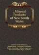 . Mineral Products of New South Wales, Charles Smith Wilkinson, Harrie Wood , Archibald Liversidge , Robert Etheridge , Robert Logan Jack , New South Wales Dept . of Mines 