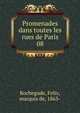 Promenades dans toutes les rues de Paris. 08, Rochegude, Felix, marquis de, 1863- 