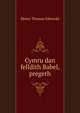 Cymru dan felldith Babel, pregeth, Henry Thomas Edwards 