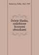 Dzieje Slaska, ozdobione licznymi obrazkami, Koneczny, Feliks, 1862-1949 