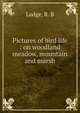 Pictures of bird life : on woodland meadow, mountain and marsh, Lodge, R. B 