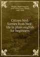Citizen bird. Scenes from bird-life in plain english for beginners, Wright, Mabel Osgood, 1859-1934,Coues, Elliott, 1842-1899 