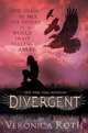 Divergent. Insurgent (комплект из 2 книг), Roth Veronica 