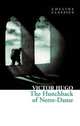 The Hunchback of Notre-Dame, Victor Hugo 