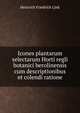 Icones plantarum selectarum Horti regli botanici berolinensis cum descriptionibus et colendi ratione, Heinrich Friedrich Link 