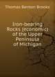 Iron-bearing Rocks (economic) of the Upper Peninsula of Michigan, Thomas Benton Brooks 
