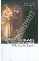 Scarlet Letter, Hawthorne Nathaniel 
