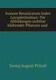 Iconum Botanicarum Index Locupletissimus: Die Abbildungen sichtbar bluhender Pflanzen und ., Georg August Pritzel 