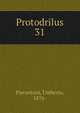 Protodrilus. 31, Pierantoni, Umberto, 1876- 
