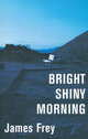 Bright Shiny Morning TPB, Frey, James 
