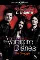 The Struggle (Vampire Diaries Series #2), L. J. Smith 