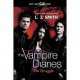 Vampire Diaries: Struggle (tv tie-in), Smith, L.J. 